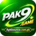 PAK9 GAME