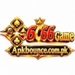6C66 Game