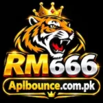 RM666 GAME