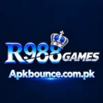 R988 Game